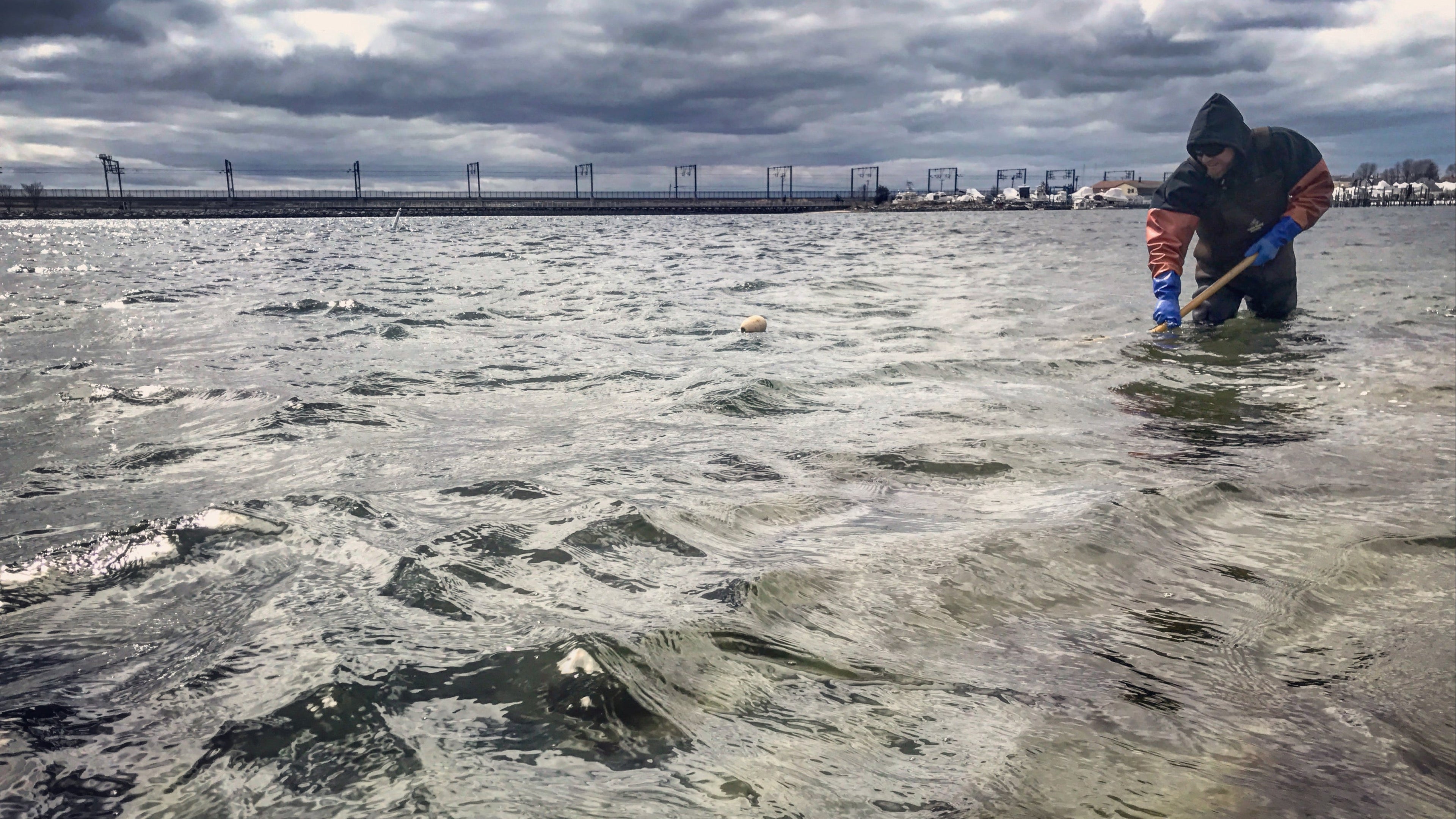 A man in gaiters is clamming in thigh high water while smiling and thinking about stuffies later.