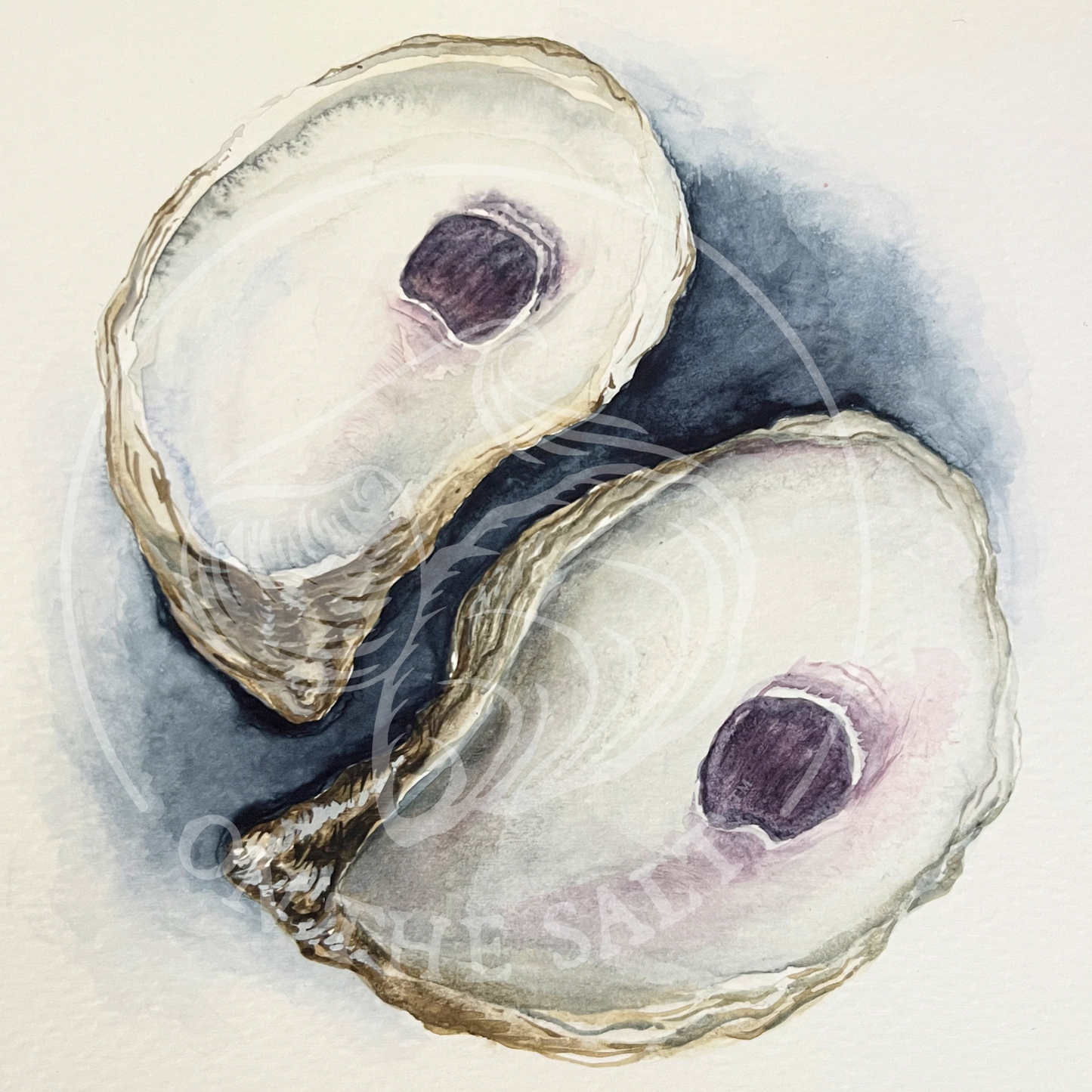 Watercolor Oysters
