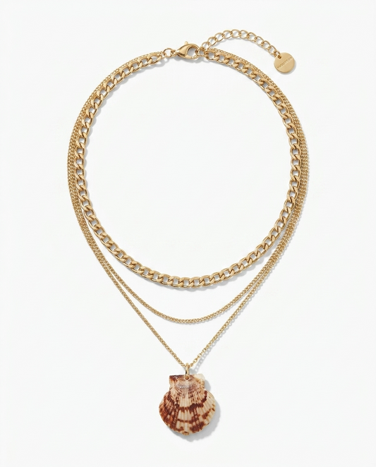 Pecten Stack Limited Edition